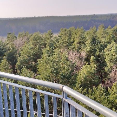 Vila Waldhaus Hilde Suderburg Exteriér fotografie